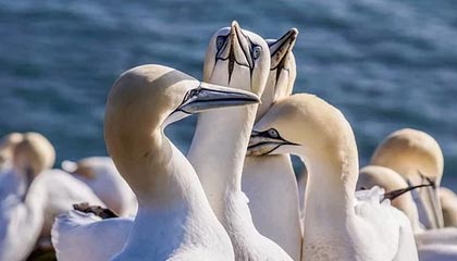 17173热门游戏榜：《绝区零》2.3版本更新 《原神》新版前瞻公开